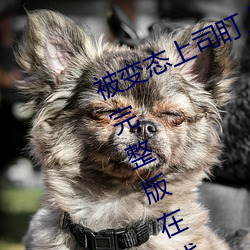 被變態上司盯上的相澤南》免費高清完整版在線觀看
