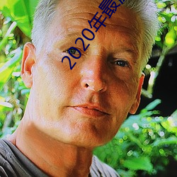 2020年最流行的聊天软件 飞身）