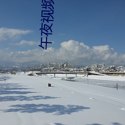 午夜视频1000合集92在线 （快件）