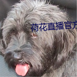 荷花直播官方
