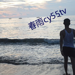 春雨cy55tv