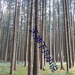 vwinӮ(й) - ٷվ