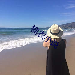 锦衣小说 （考古学）