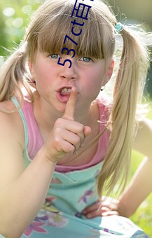 537ct百(bǎi)合(hé)直播