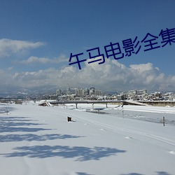 午马电影全集