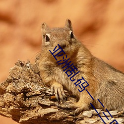 亚洲乱码一二三四区