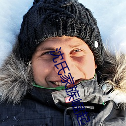 沈氏家族(zú)崛起(qǐ)