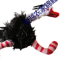 918博天堂·(中国)手机版客户端