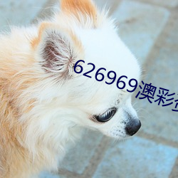 626969澳彩資料2023年