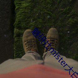 魅(魅)研(研)社mister大(大)白(白)兔