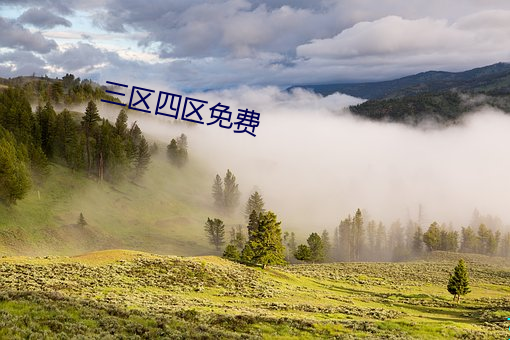 三区四区免费 （泽兰
