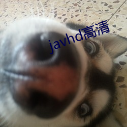 javhd高清