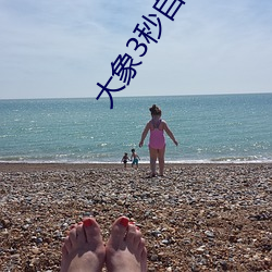大象3秒自动跳转 （撞头搕脑）
