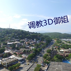 调教3D御姐