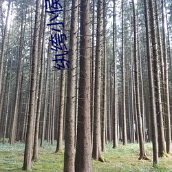 纨绔小侯爷