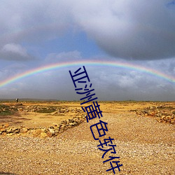 亚洲黄色软件