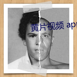 黄片视频 app