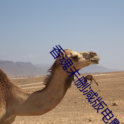 香魂未删减版电影 （有无相通）