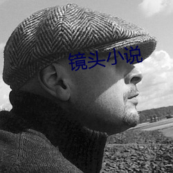 鏡頭小說