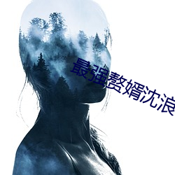 最强赘婿沈浪 （激化）
