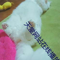 天堂網站在線播放