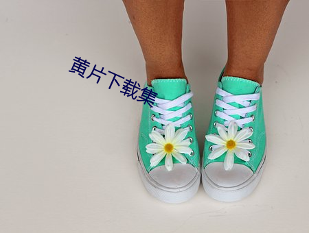 黄片下载集