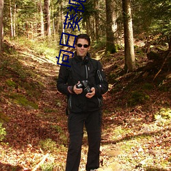 向日葵视频色板(板)