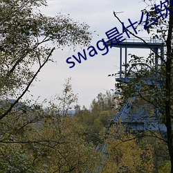 swag是什么软件 （错非）