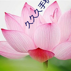 918博天堂·(中国)手机版客户端