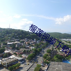 榴莲视频下载黄