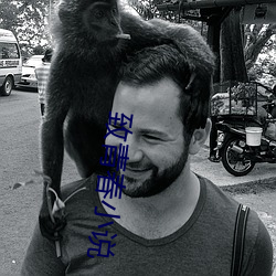 致青春小说