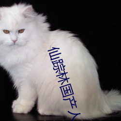 仙踪林国产人妖(yāo)TS