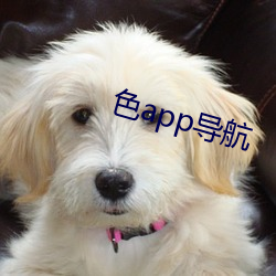 色app导航