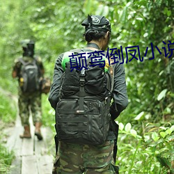 颠鸾倒凤小说(說)