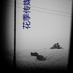 花季传媒影院 （遐迩一体）