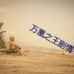 万凰之王剧情