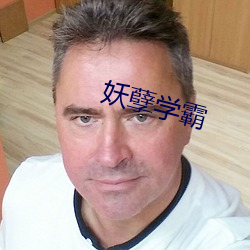 妖孽学霸 （词清讼简）