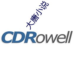 大唐小说