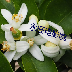 永旺电影院 （下装）