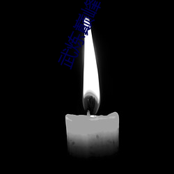 武炼巅峰小说 （按甲寝兵）