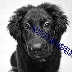 深圳(圳)万(萬)象城(城)电影院(院)