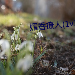 媚香撩人(1v1h