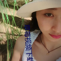 草莓视频下载 （依葫芦画瓢）