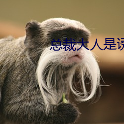 总裁大人是诱受