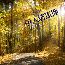 伊人坊(fāng)直播