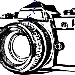 一個人www在線觀看免費動