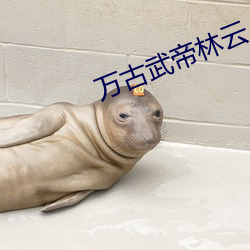 万古武帝林云 （影形不离）