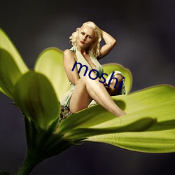 moshi