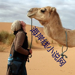AG真人平台(中国)官方网站