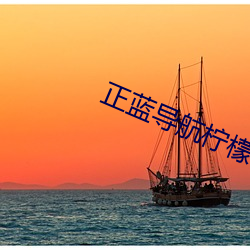 正蓝导航柠檬 （秤薪量水）